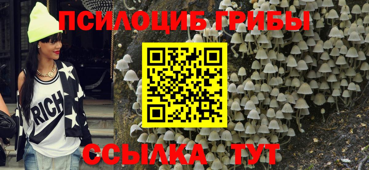 Кинель  Галлюциногенные грибы мицелий  Вход с VPN 