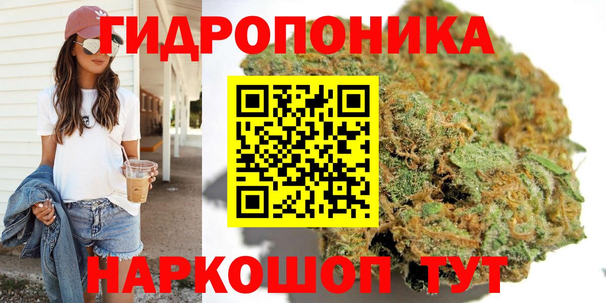 Кинель  Каннабис White Widow  Каннабис тримм  Бошки марихуана планчик  Вход с VPN 